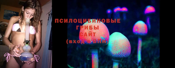 эйфоретик Армянск