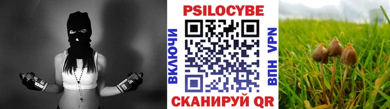 Псилоцибиновые грибы GOLDEN TEACHER  Шатура 
